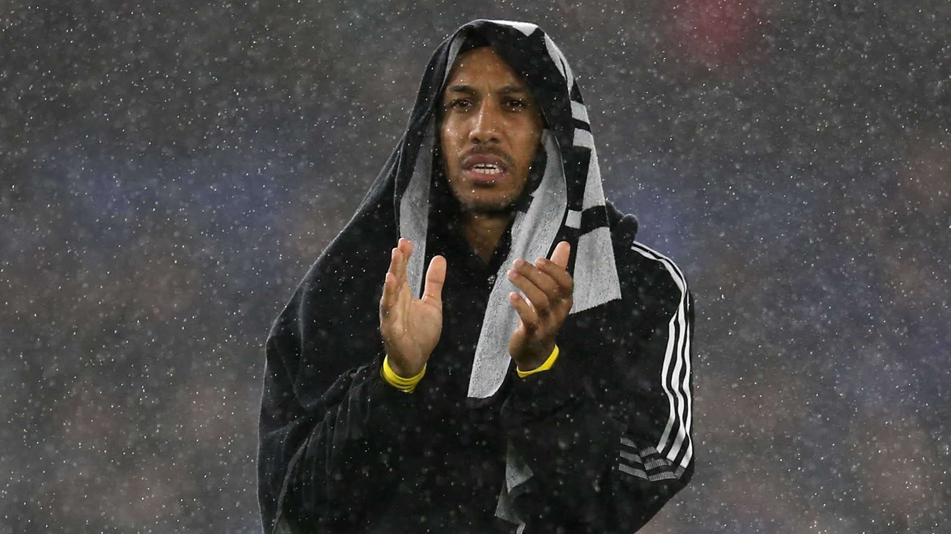 引发了如此 引发了如此